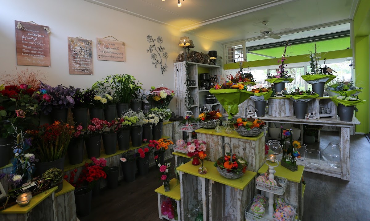 Foto van Kayla's Bloemenhofje in Emmen