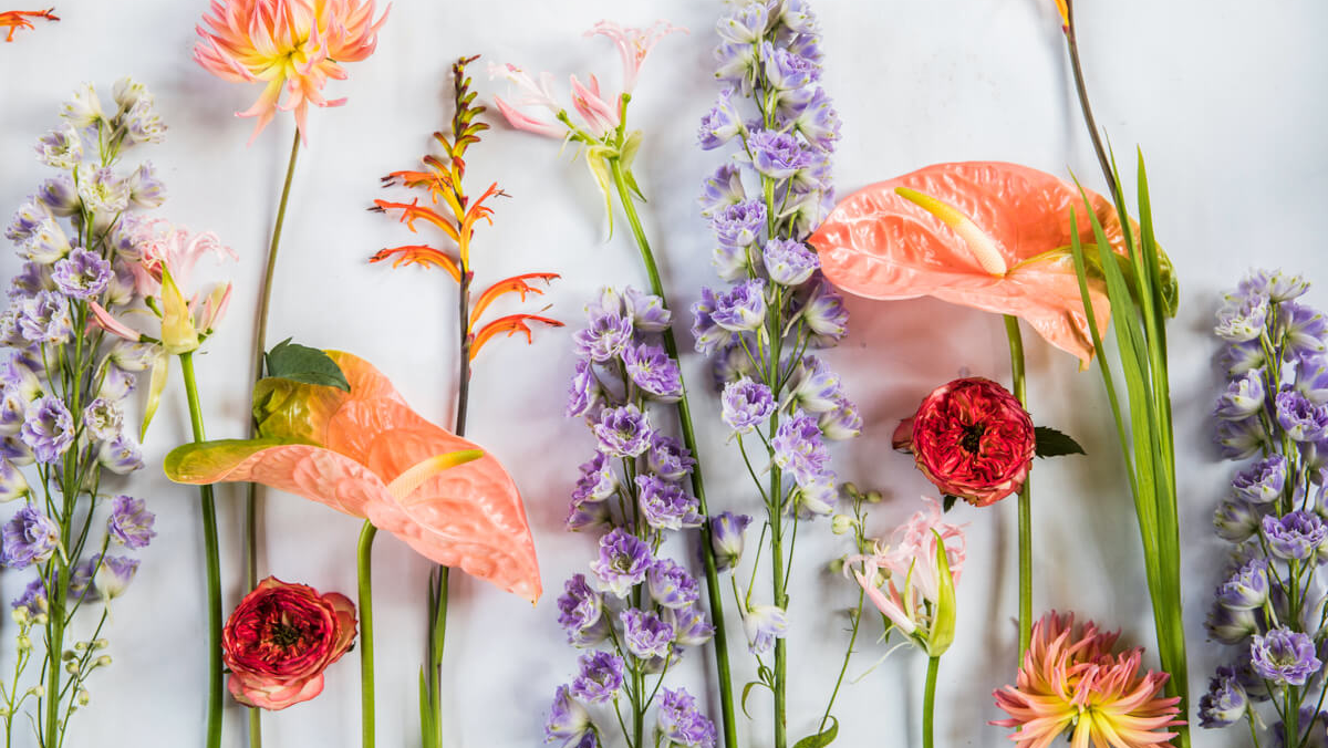 Foto van Bloem beleving in Didam