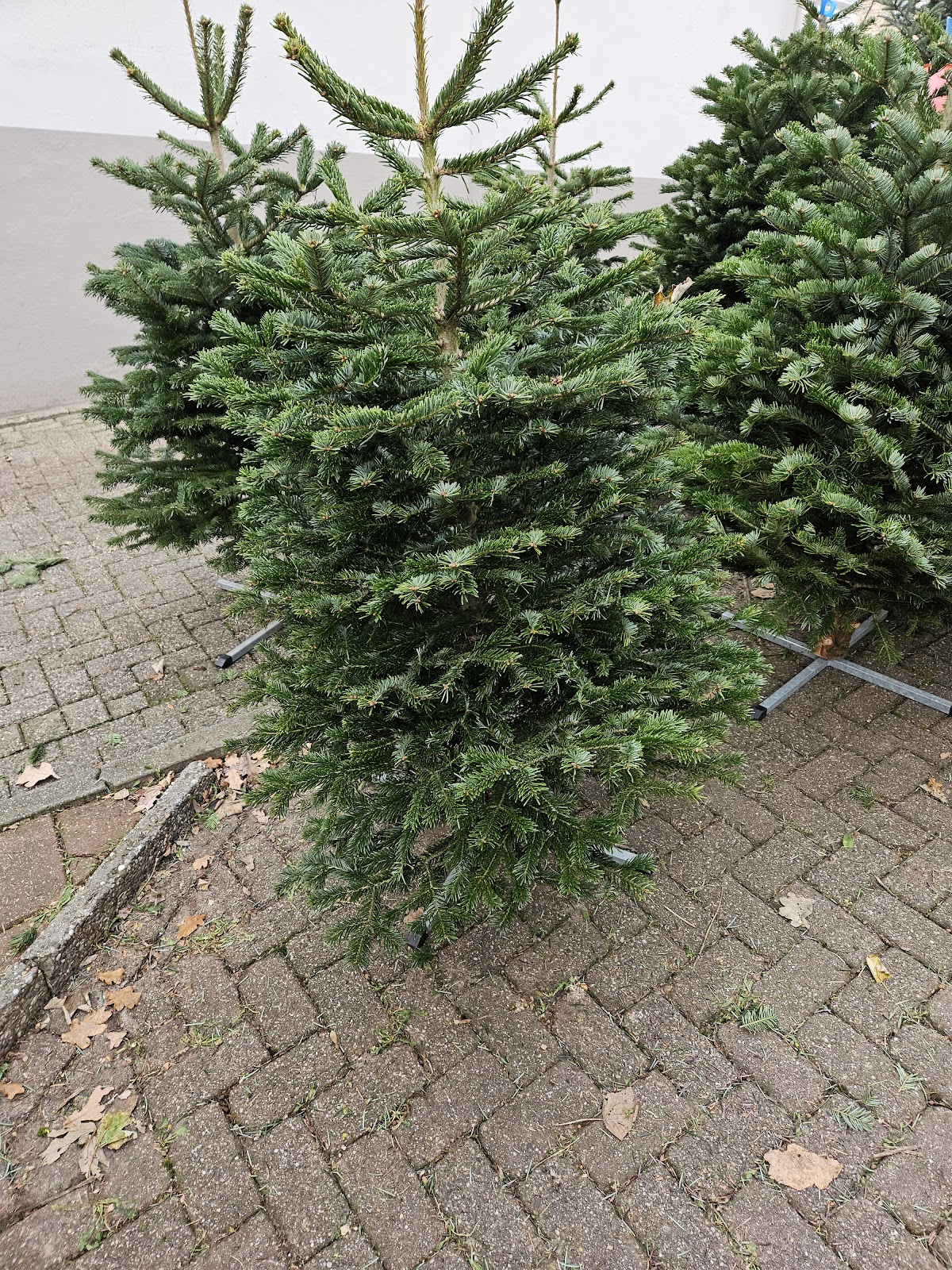 Foto van van Onna Kerstbomen in Angeren