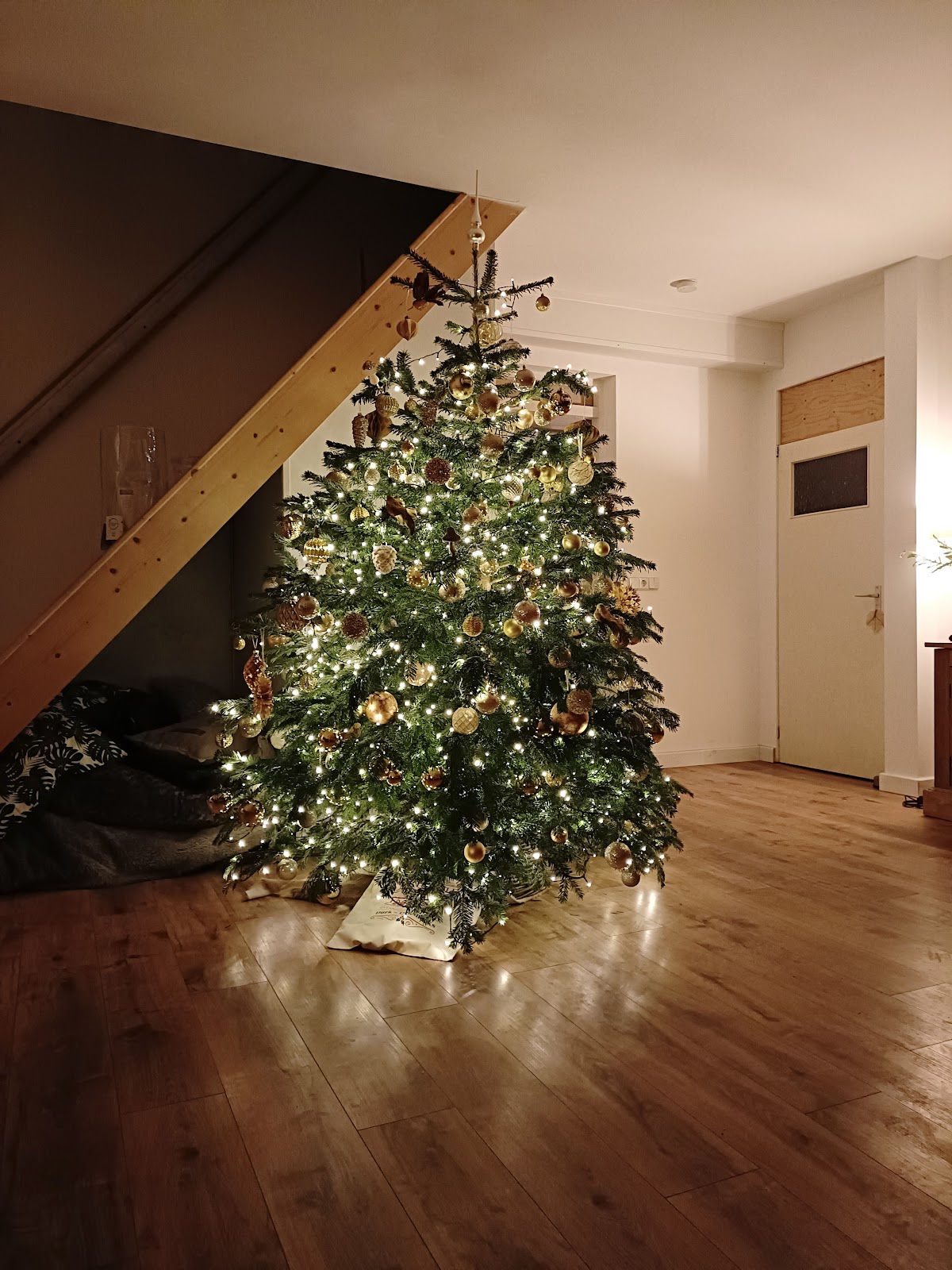 Foto van van Onna Kerstbomen in Angeren