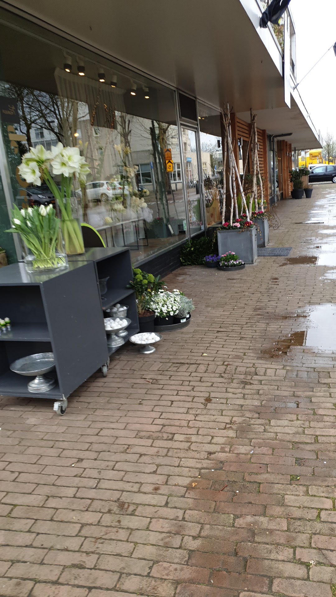 De Oranjerie