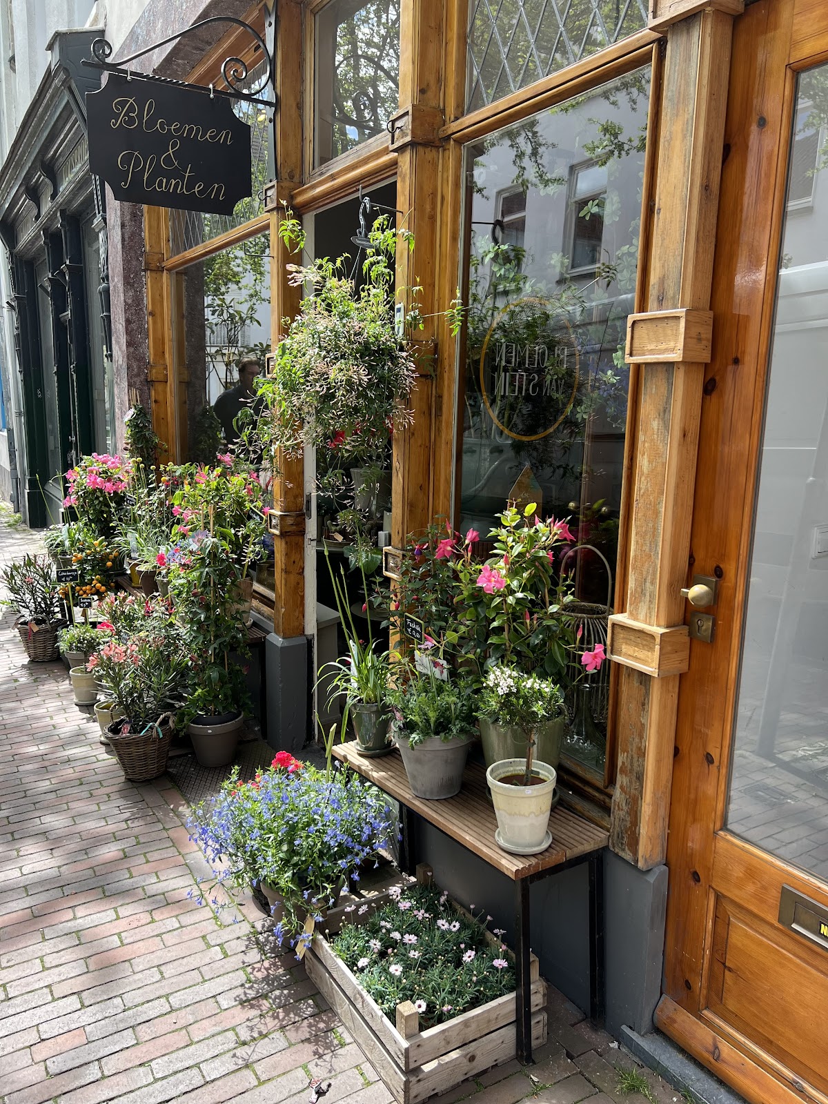 Foto van Bloemen van Stein in Arnhem