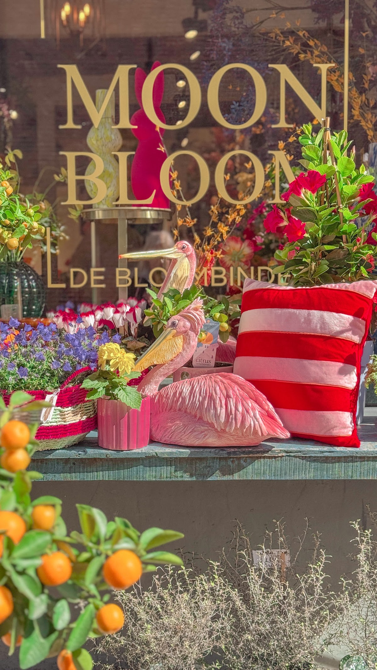Foto van Moon Bloom De Bloembinders in Elburg