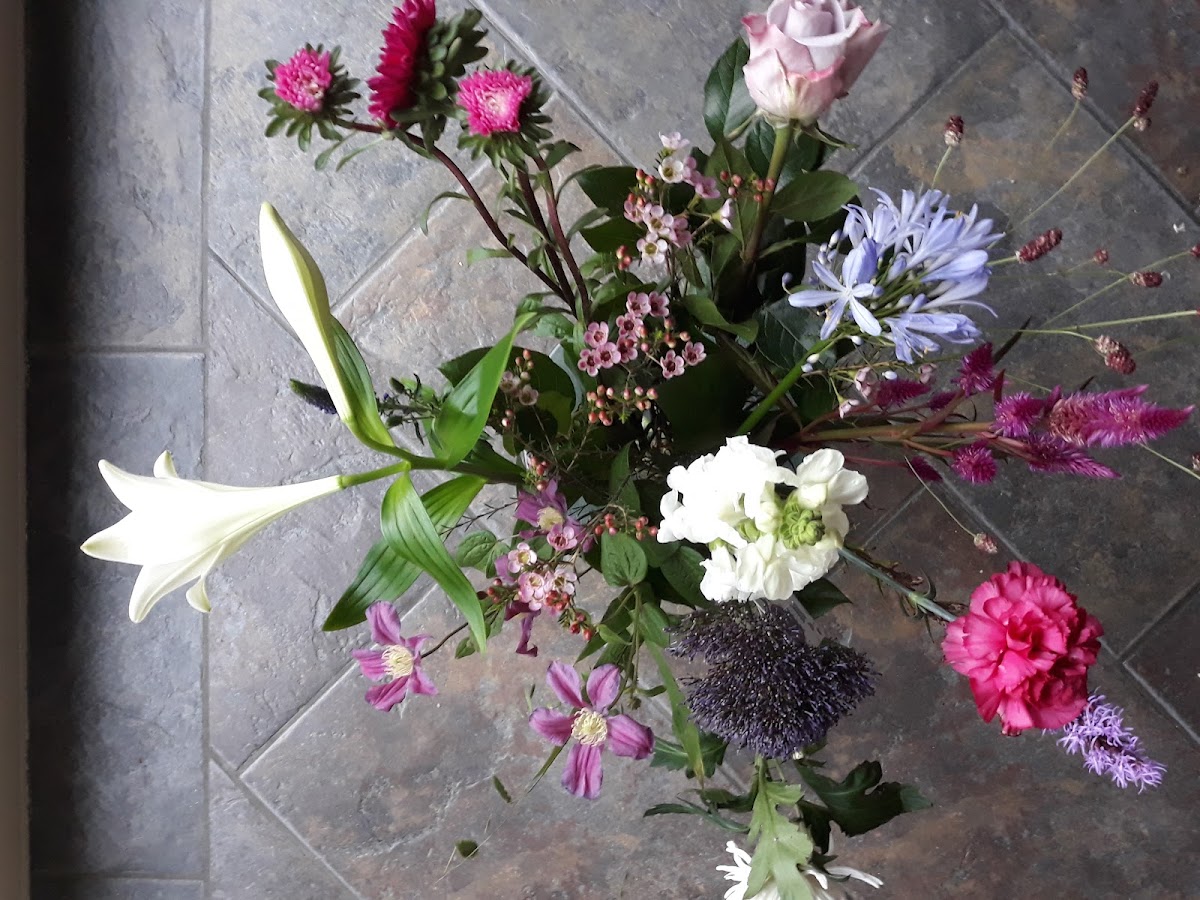 Foto van Stefan's Flower & Zo in Westervoort