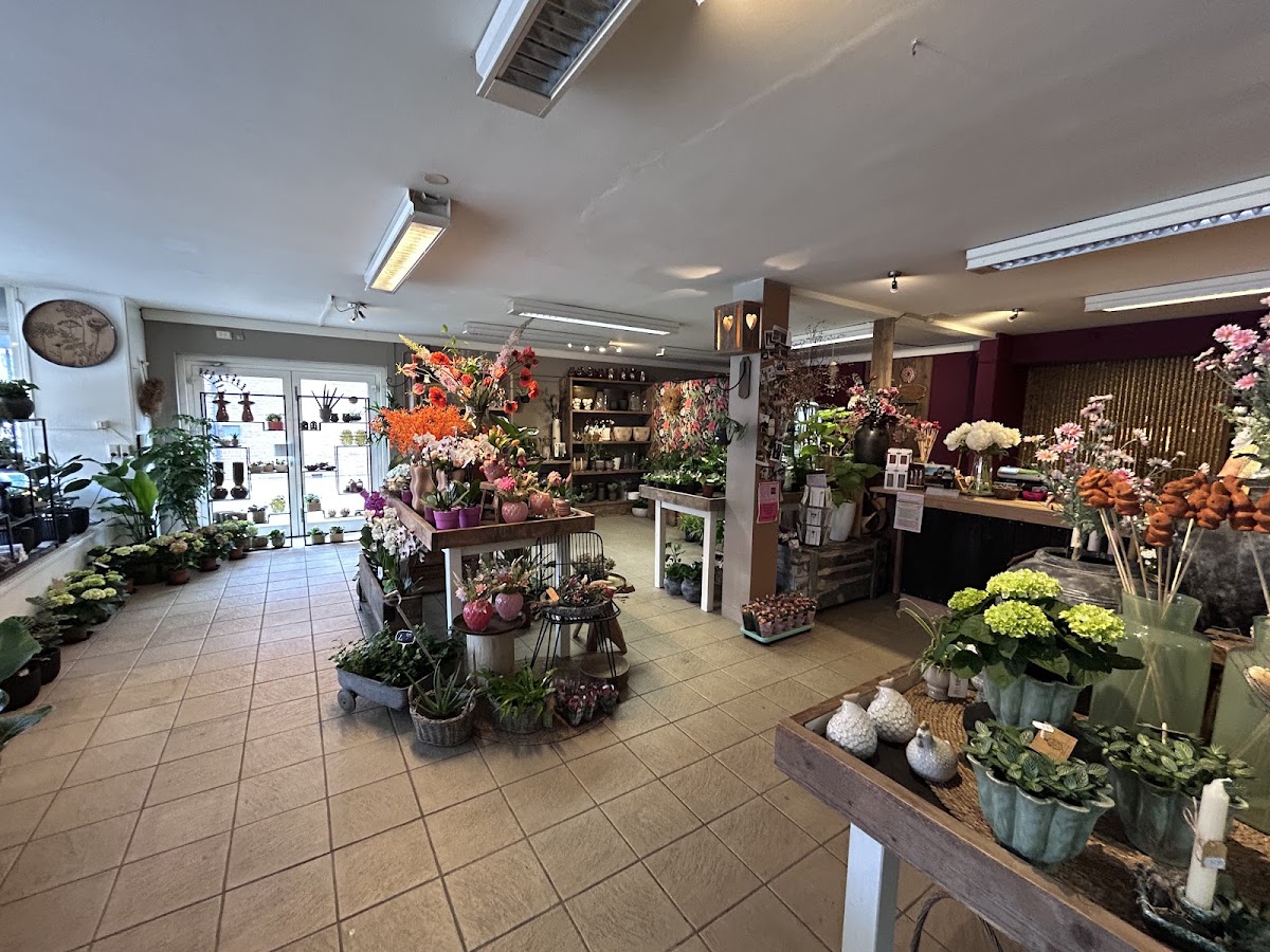 Foto van ‘t Bloemenhuus in Elspeet