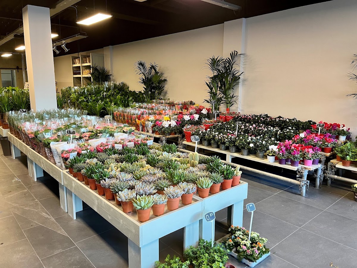 Foto van HB Shops Bloemen en Planten in Borculo