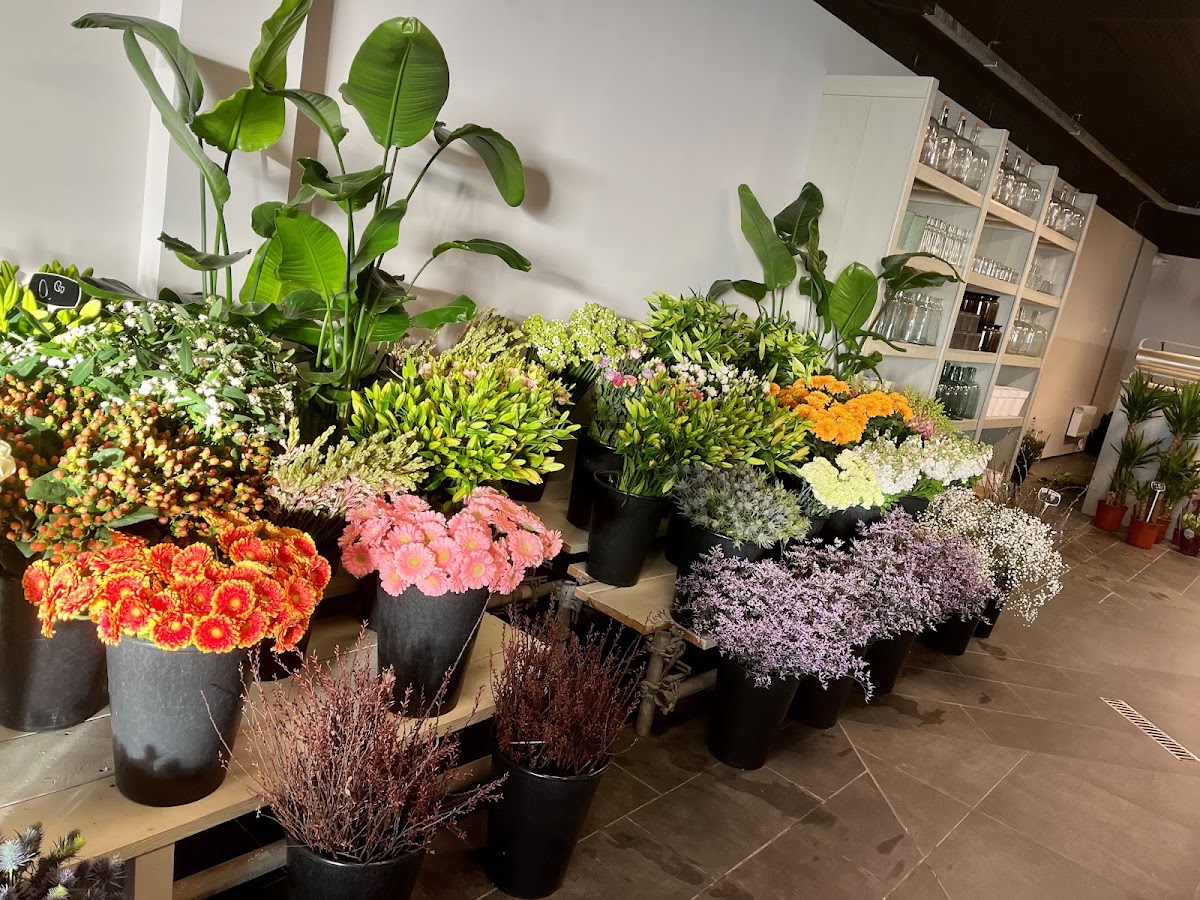 Foto van HB Shops Bloemen en Planten in Borculo