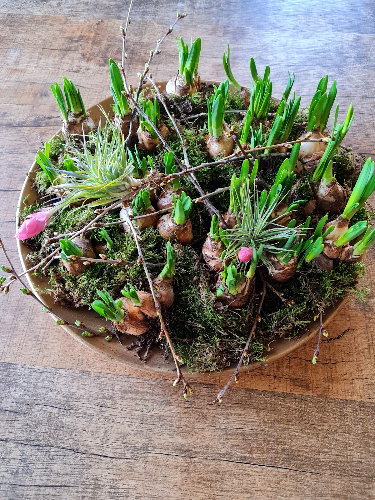 Foto van HB Shops Bloemen en Planten in Borculo