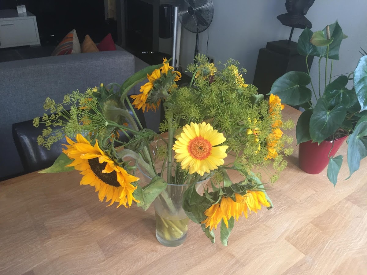 Foto van Hoogeveen Bloemen en Planten V.O.F. in Arnhem