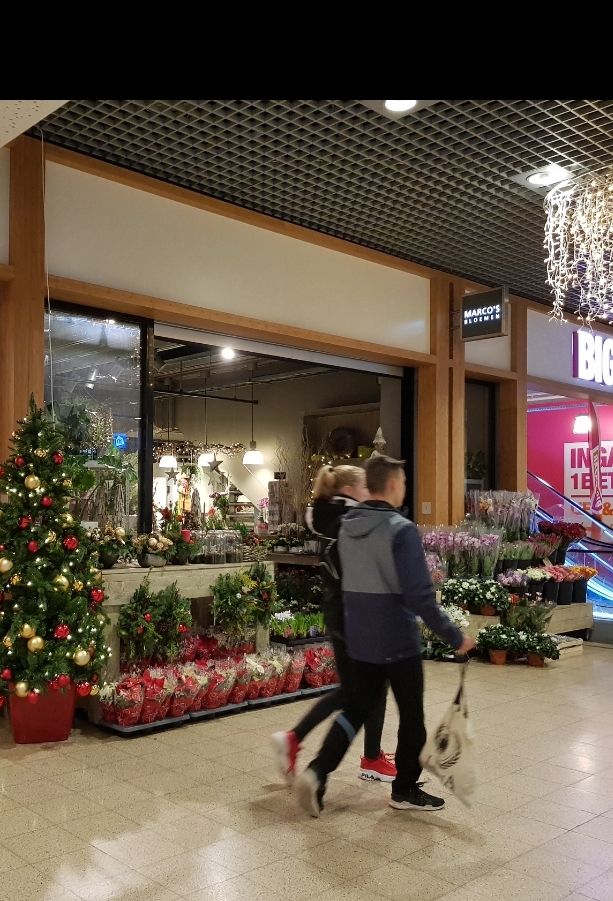 Marco's Bloemen