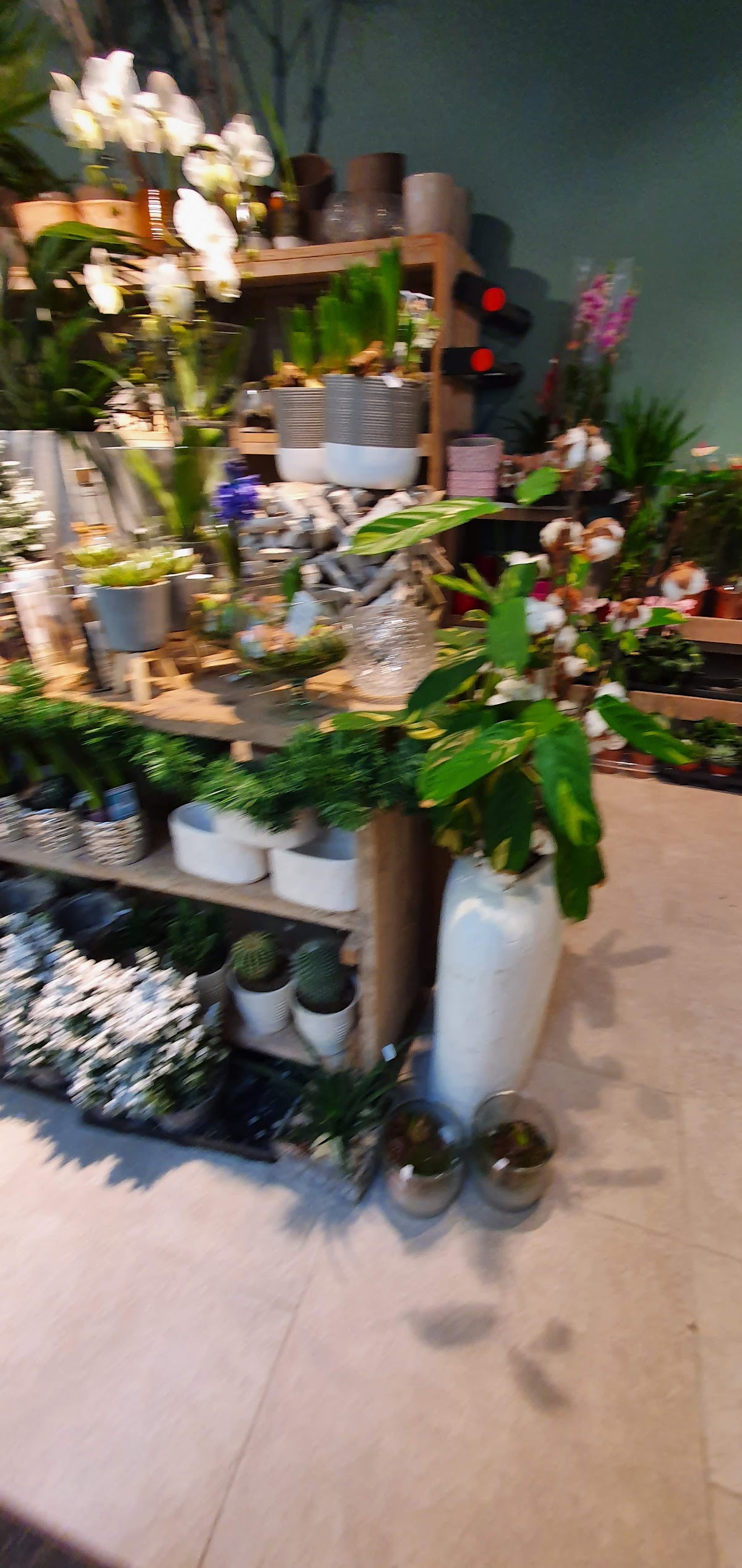 Foto van Marco's Bloemen in Arnhem
