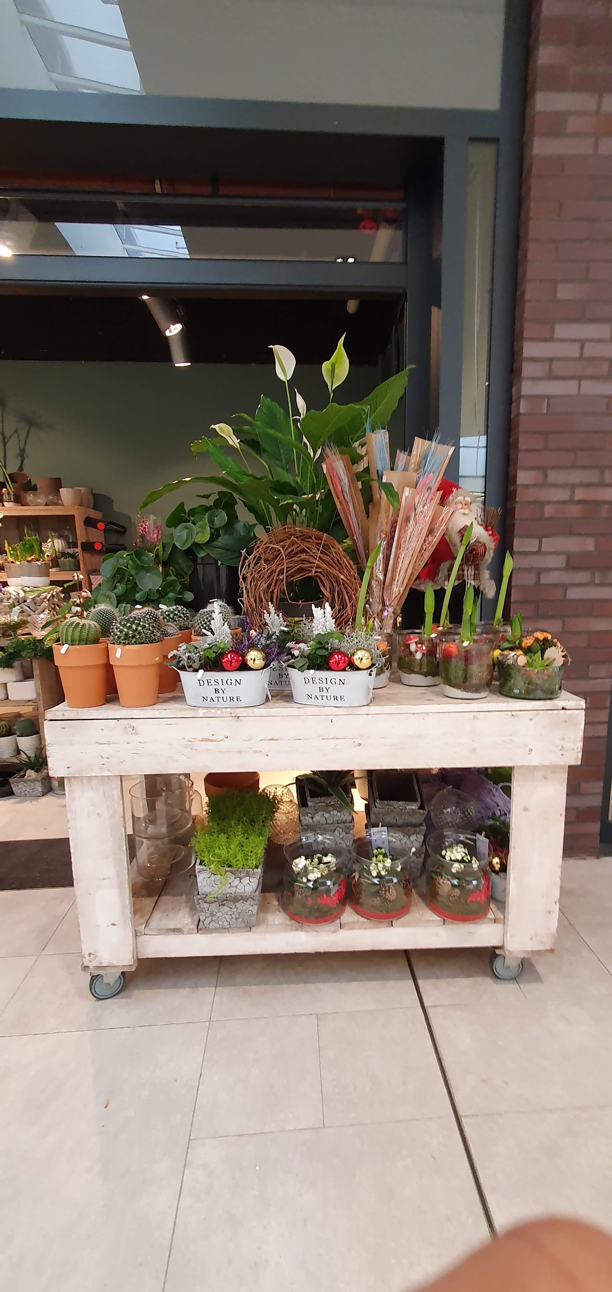 Foto van Marco's Bloemen in Arnhem