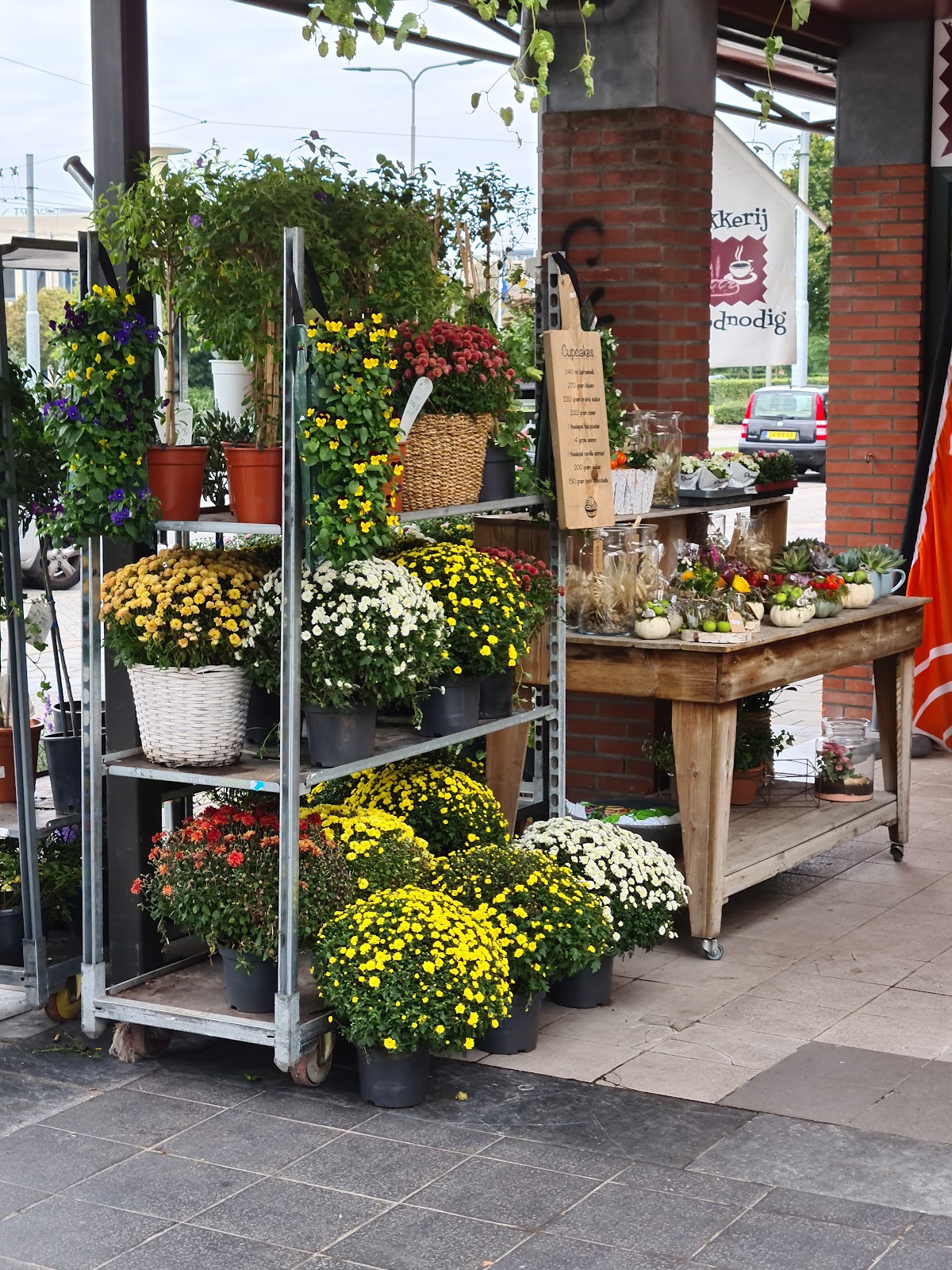 Passieflora Bv