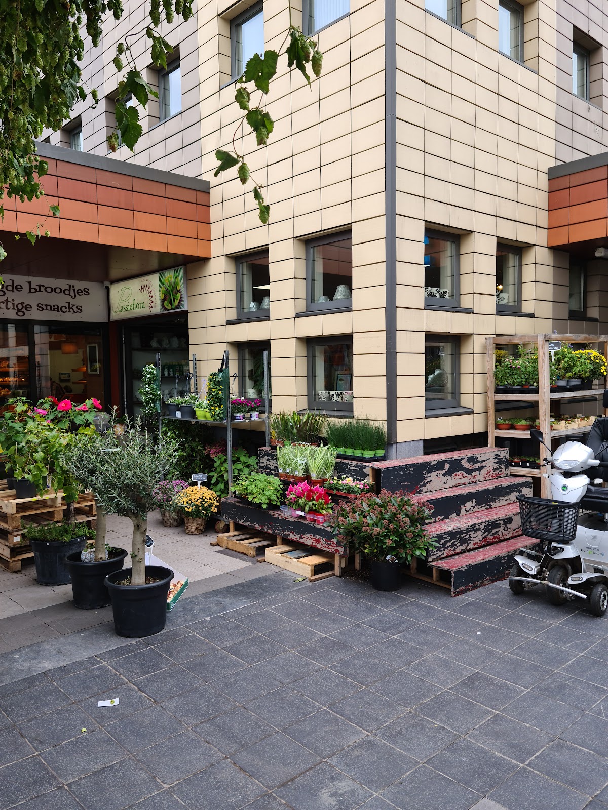 Foto van Passieflora Bv in Arnhem