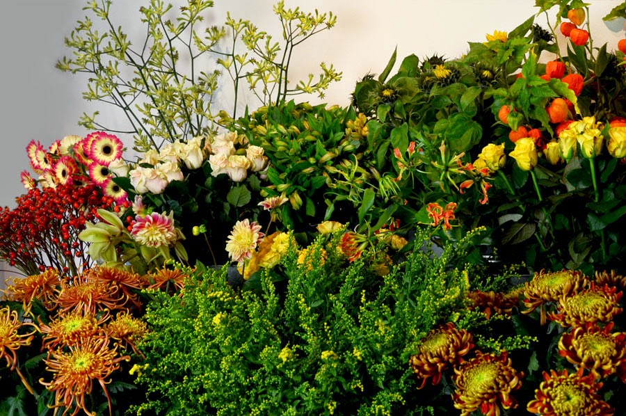 Foto van Krayenhoff bloemen in Nijmegen