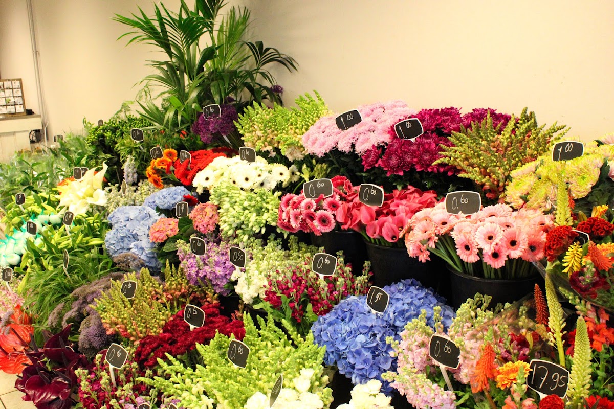 Foto van HB Shops Bloemen en Planten in Lochem