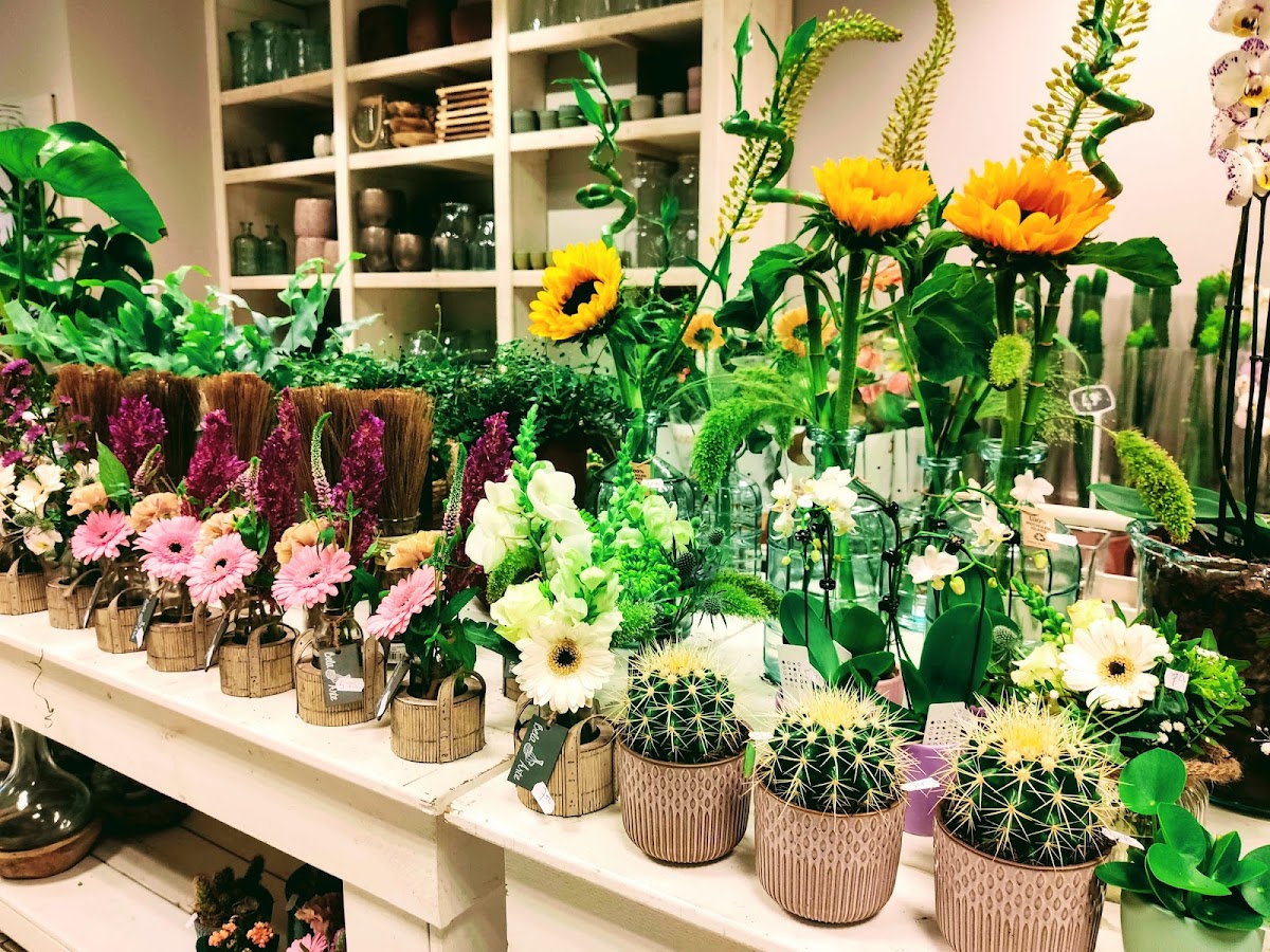 Foto van HB Shops Bloemen en Planten in Lochem