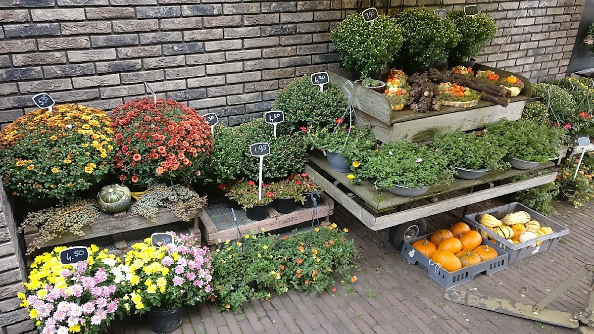 Foto van 't Stalletje Bloemen & Planten in Voorthuizen