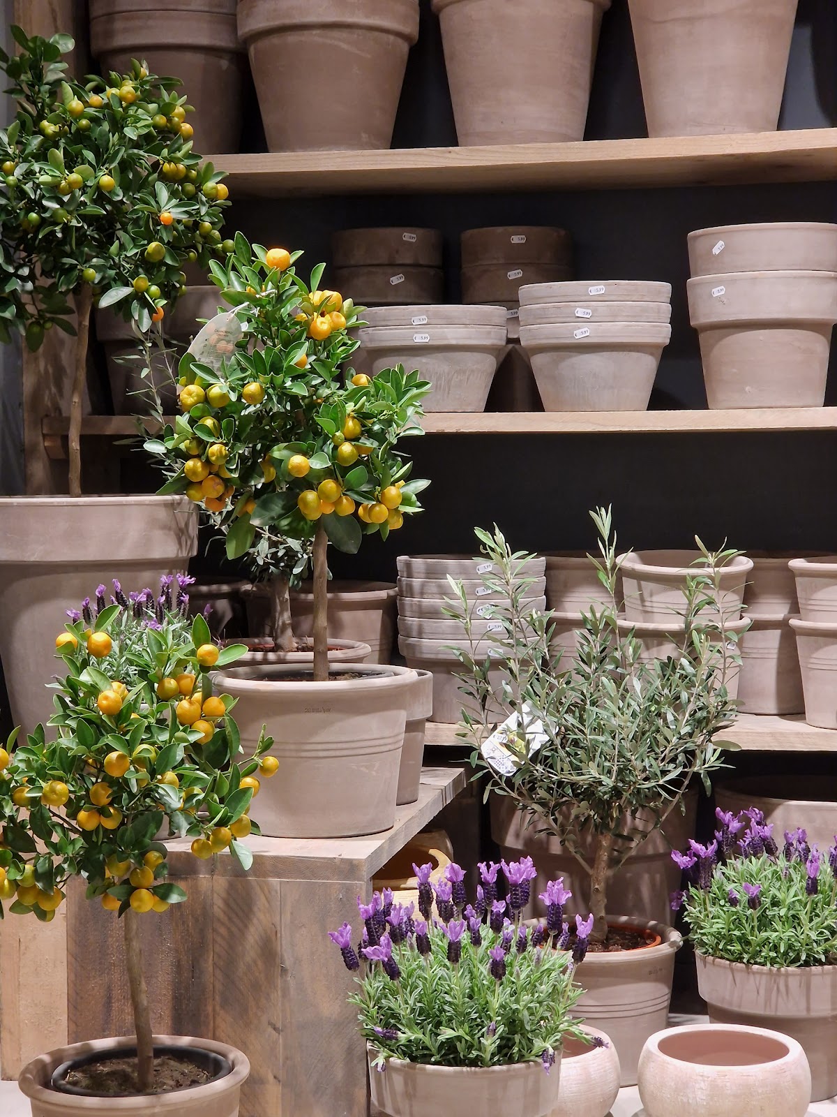 Foto van De Boekettenspecialist in Barneveld