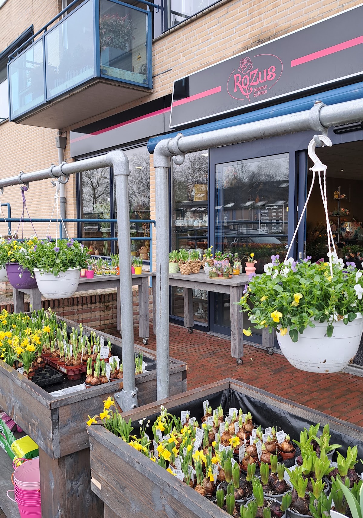 RoZus Bloemen en planten