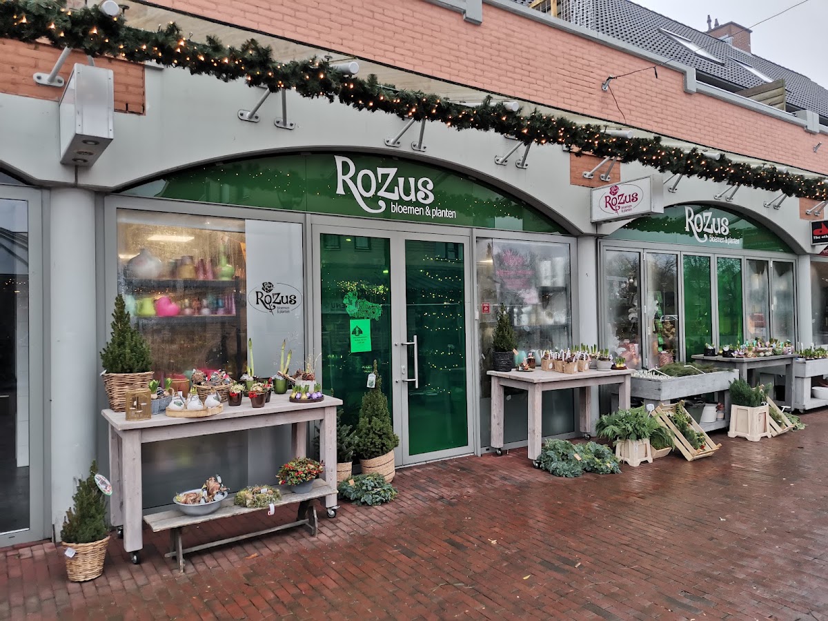 Foto van RoZus Bloemen en planten in Warnsveld