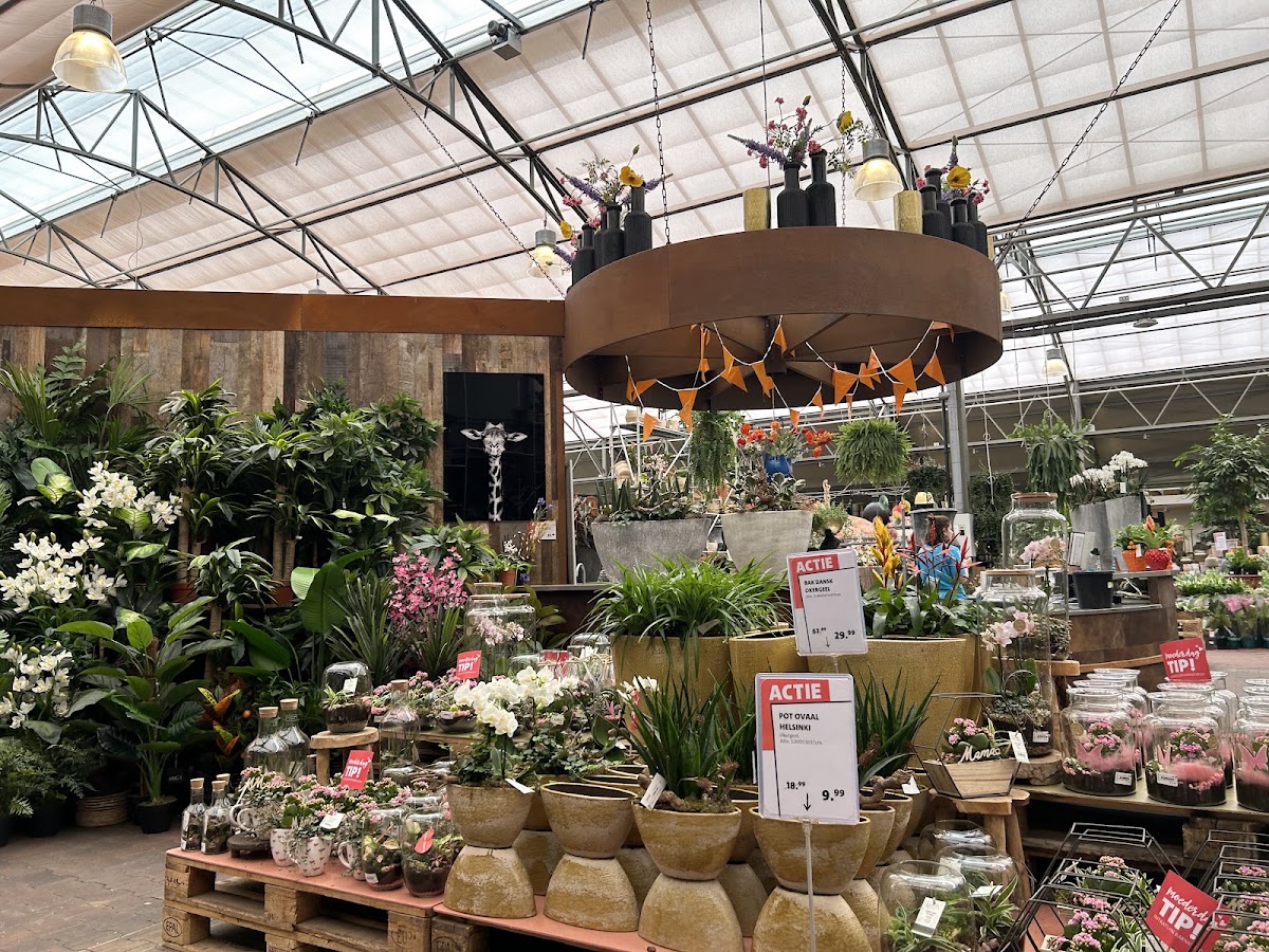 Foto van Intratuin Barneveld in Barneveld