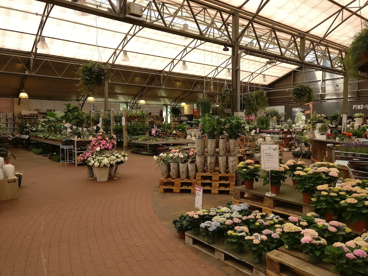 Foto van Intratuin Barneveld in Barneveld