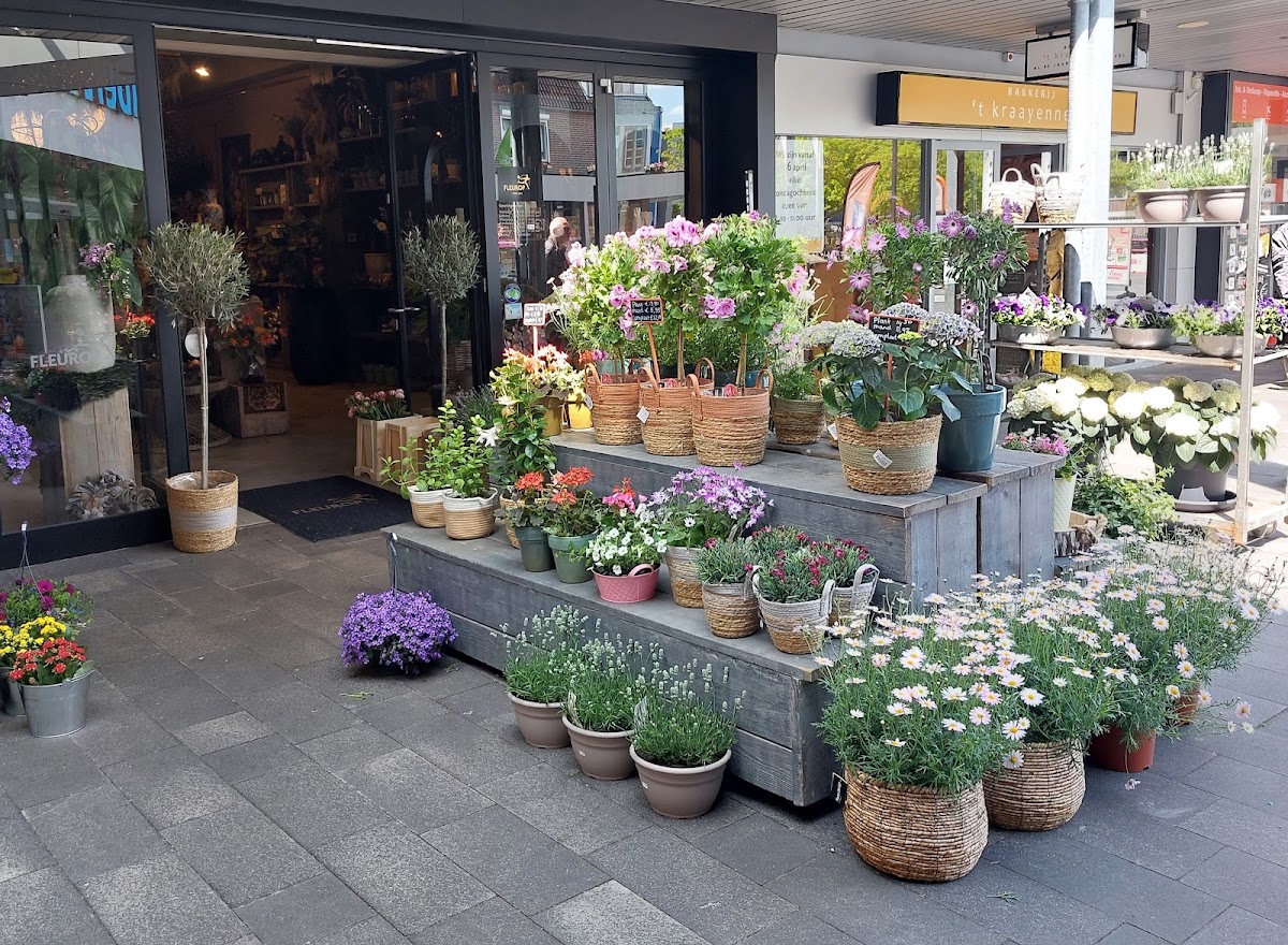 Foto van Groenwinkel Wijchen - Bloem, Sier en Kunst in Wijchen
