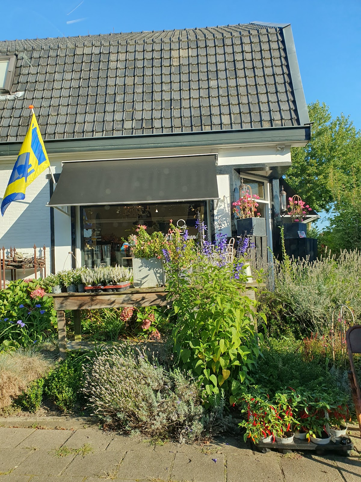 De Bloemenmand