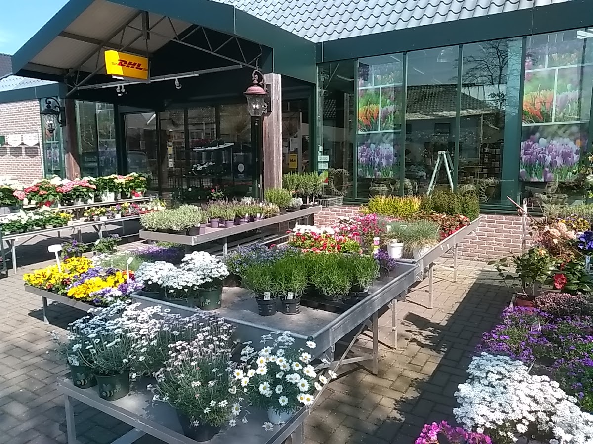 Foto van Bloemen-Planten- Kado en Woonsfeer De Graaf in Beusichem