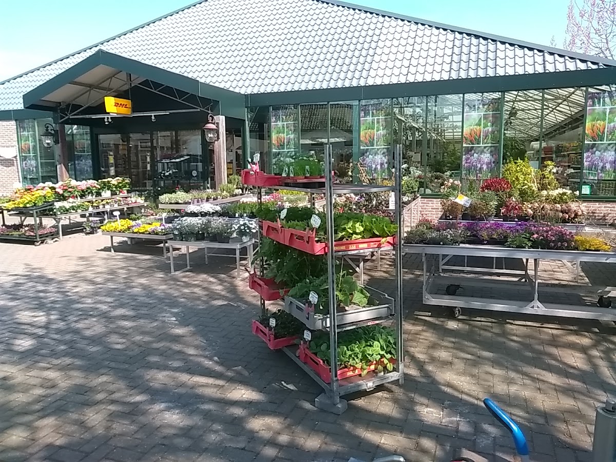 Foto van Bloemen-Planten- Kado en Woonsfeer De Graaf in Beusichem