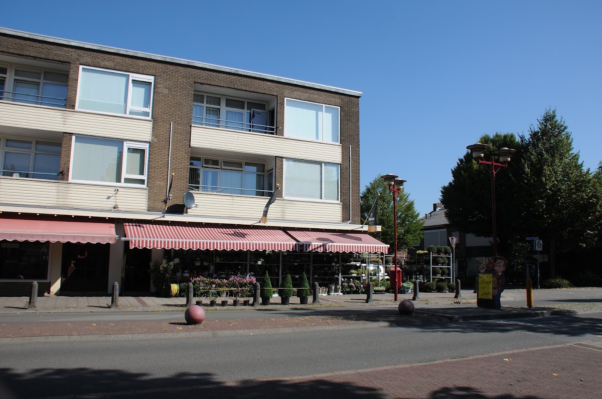 Foto van Bloemsierkunst Erica in Doesburg
