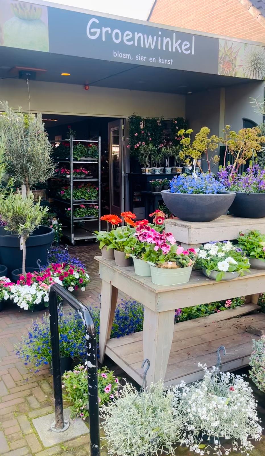 Groenwinkel Druten - Bloem, Sier en Kunst
