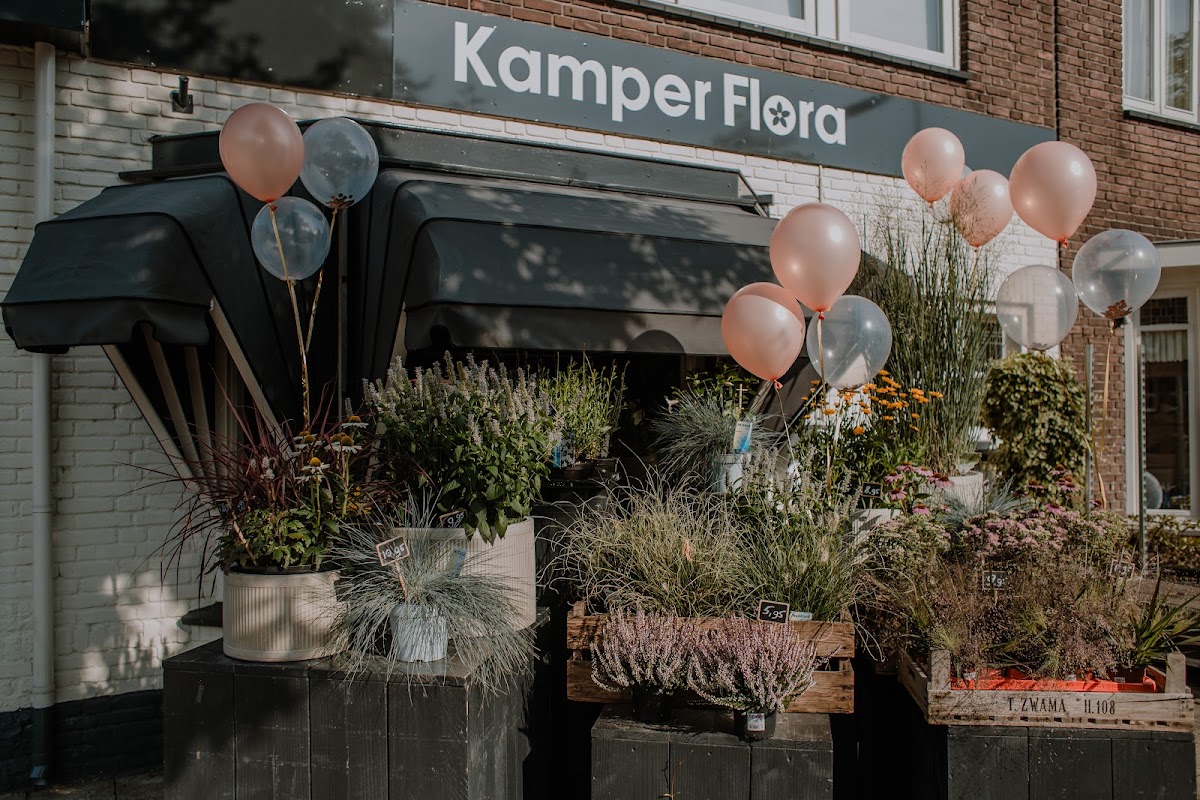 KamperFlora - Zuid