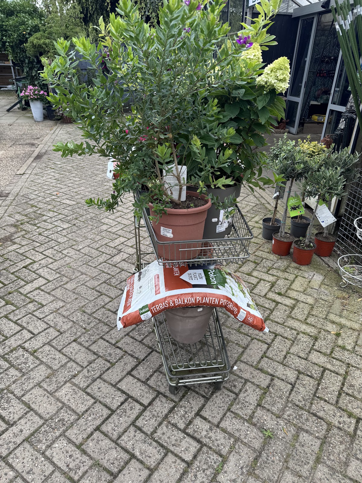 Foto van De Blaakhof in Eefde
