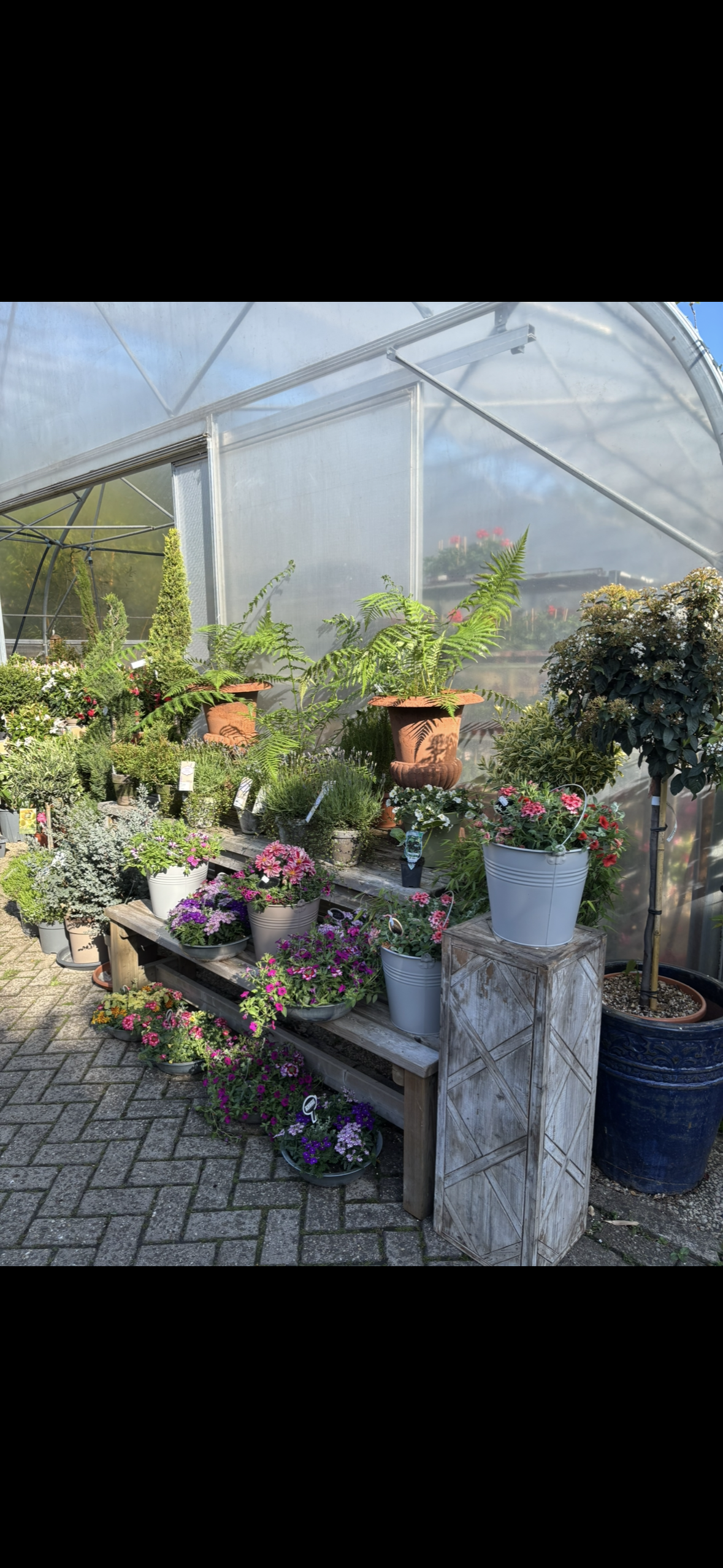 Foto van De Blaakhof in Eefde