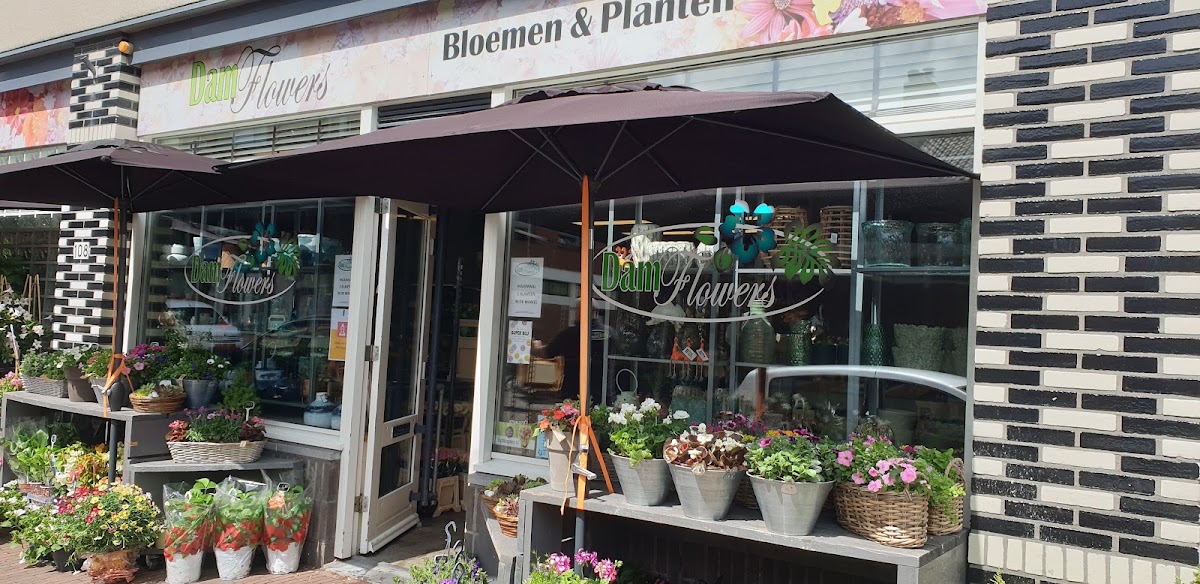 Bloemenwinkel Damflowers Leidschendam