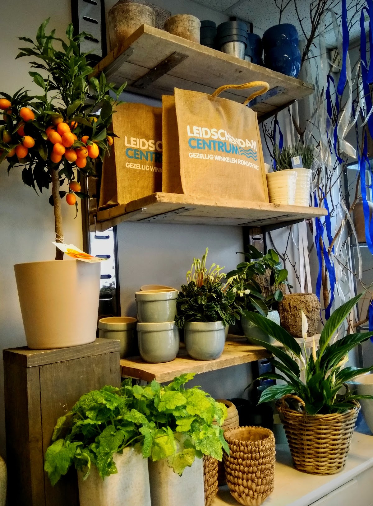 Foto van Bloemenwinkel Damflowers Leidschendam in Leidschendam