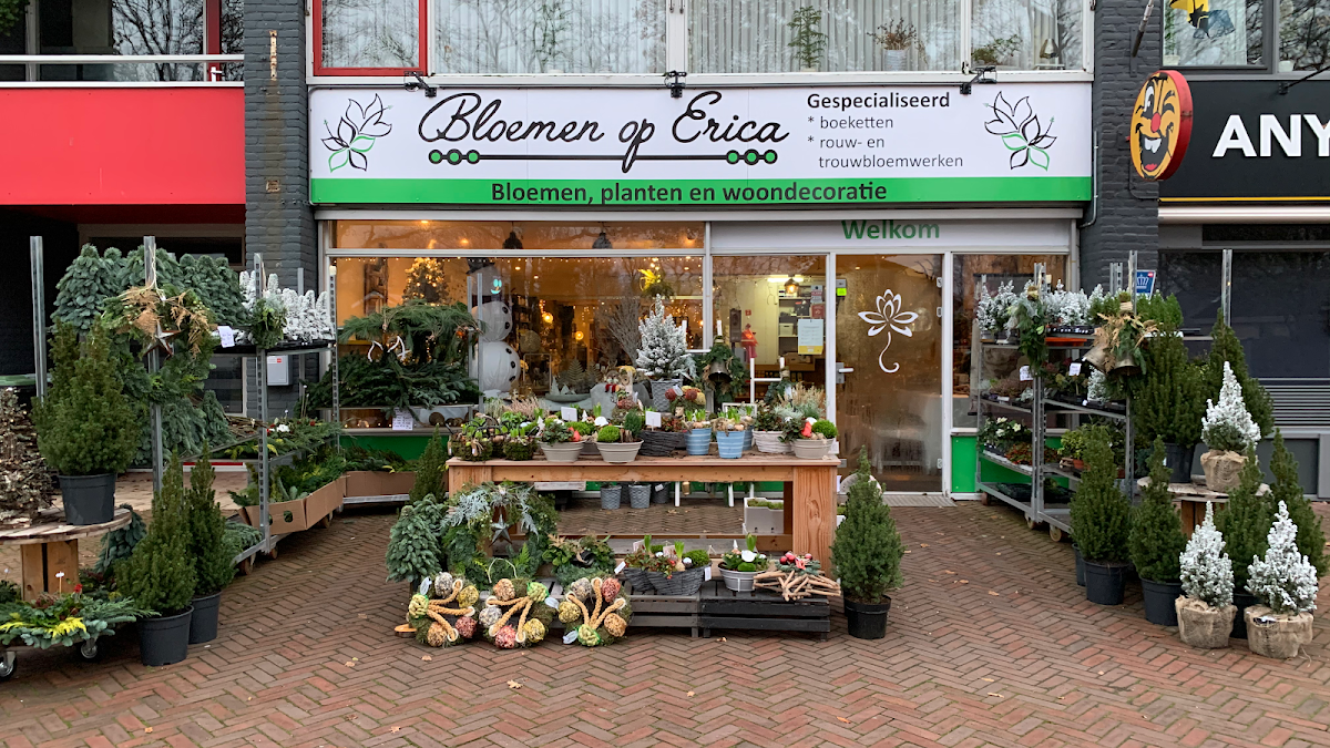Bloemen op Erica