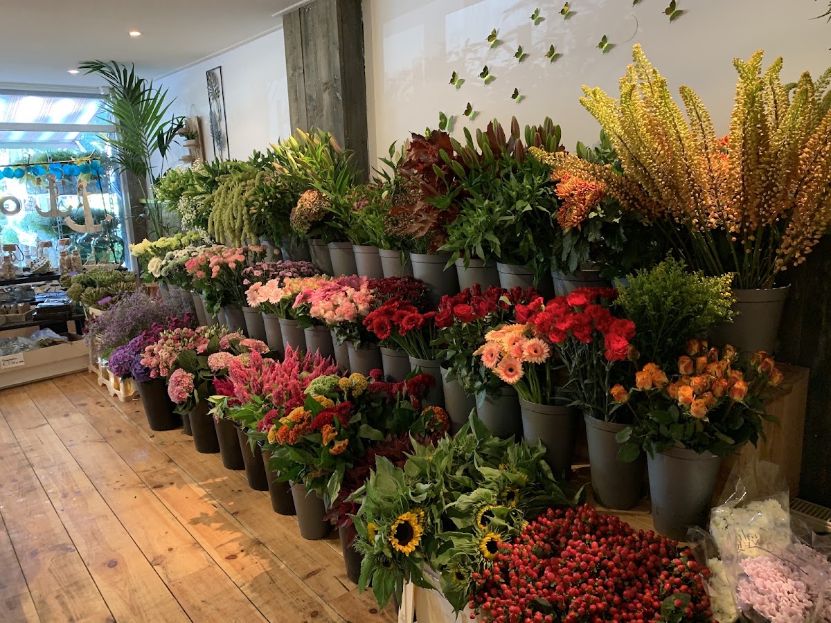 Foto van Bloemen op Erica in Erica