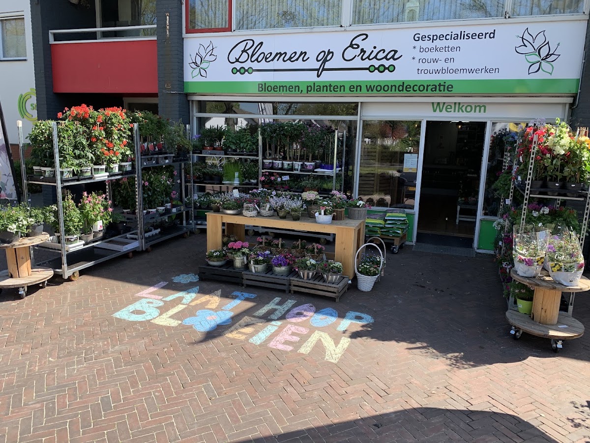 Foto van Bloemen op Erica in Erica