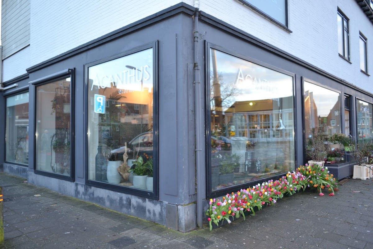 Foto van Acanthus Bloememotie in Emmeloord