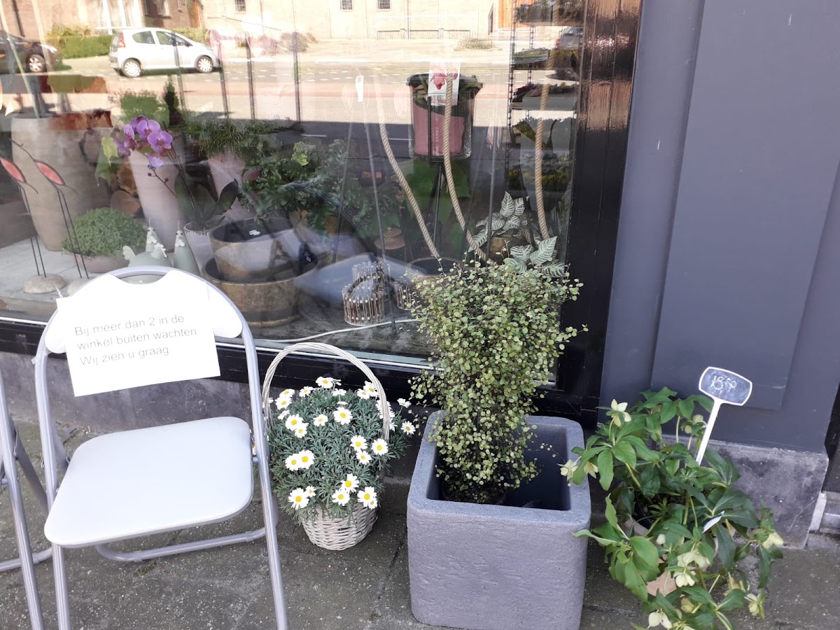 Foto van Acanthus Bloememotie in Emmeloord
