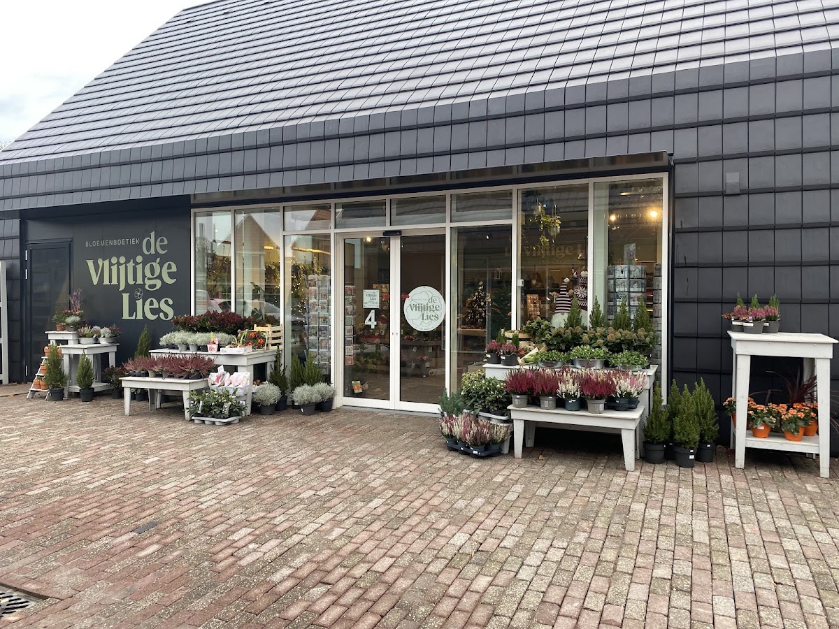 Bloemenboetiek De Vlijtige Lies