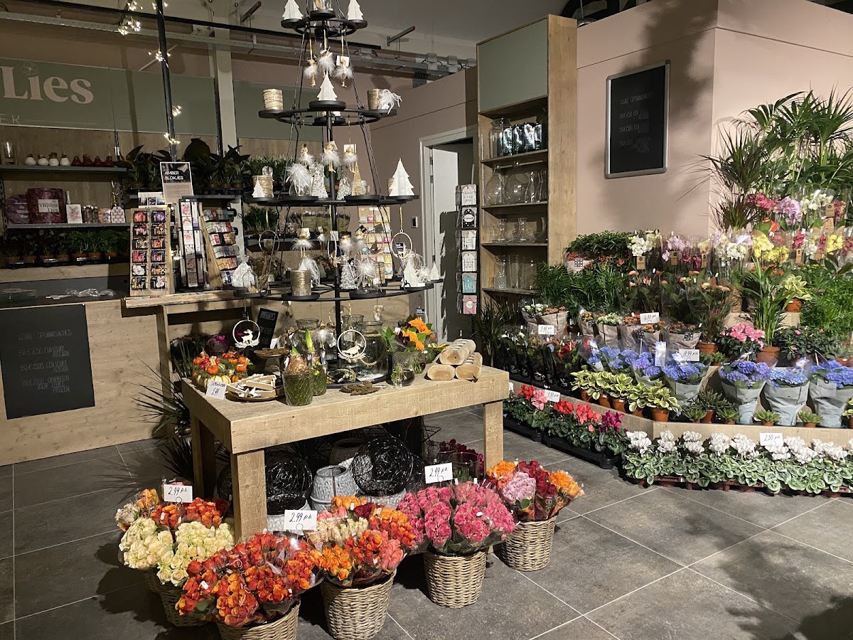 Foto van Bloemenboetiek De Vlijtige Lies in Akkrum