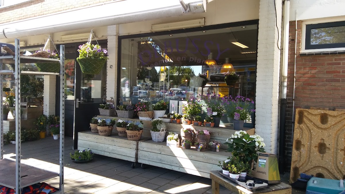 Debussy bloemen en planten