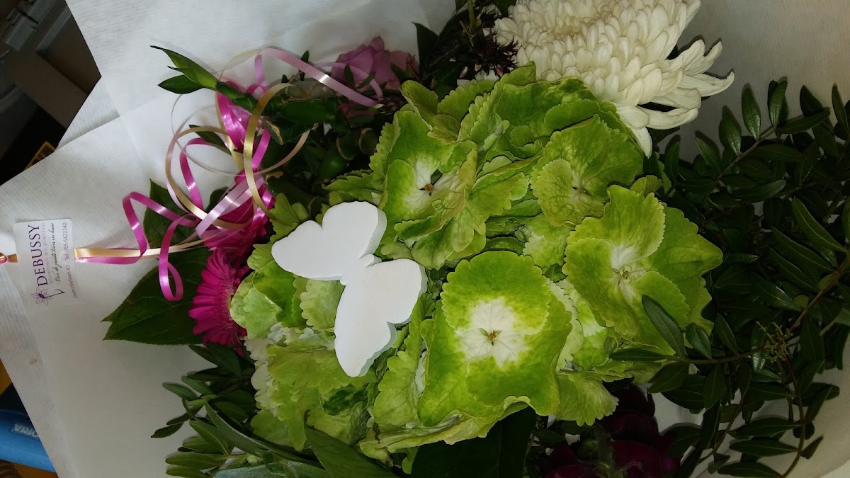 Foto van Debussy bloemen en planten in Apeldoorn