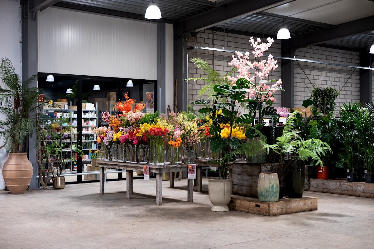 Willemsen Bloemen Apeldoorn BV