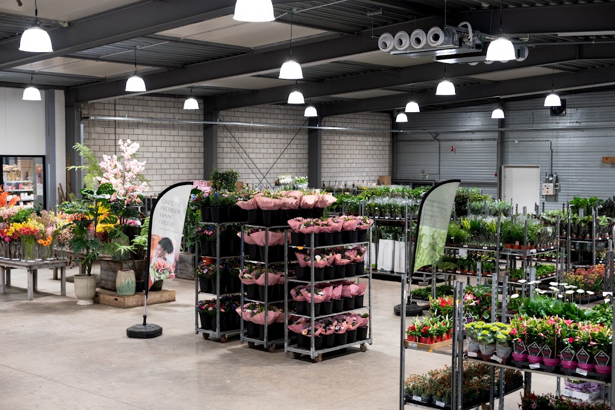 Foto van Willemsen Bloemen Apeldoorn BV in Apeldoorn