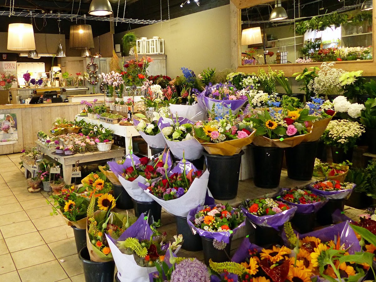 Foto van Combi Plant B.V. in Arnhem